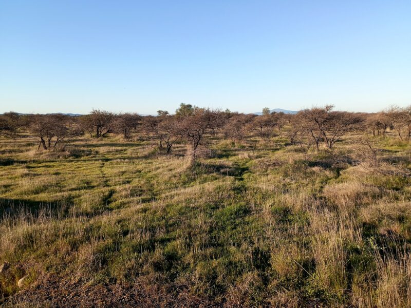 Se venden parcelas de 5 mil m2 con rol propio " valle cauquenes III", Región de Maule