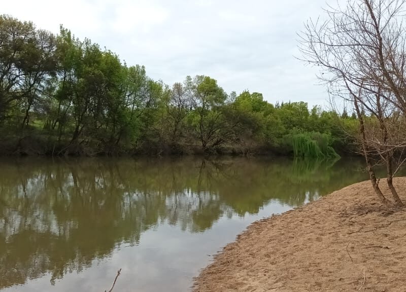 Se venden parcelas de 5 mil m2 con rol propio " valle cauquenes III", Región de Maule