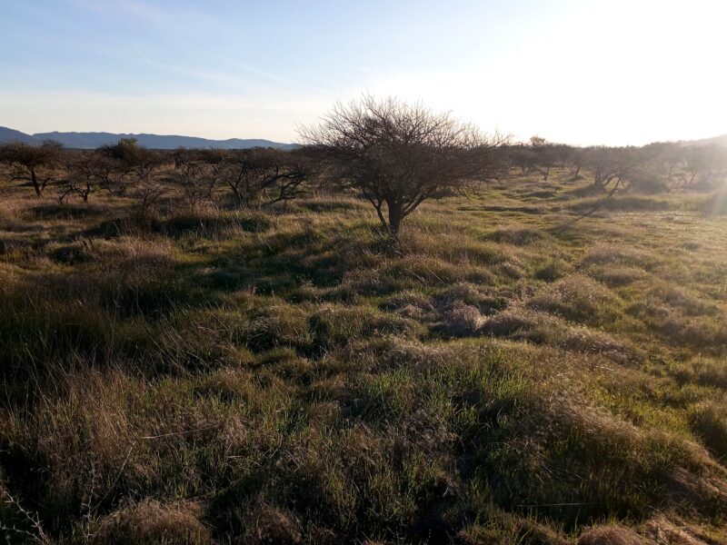 Se venden parcelas de 5 mil m2 con rol propio " valle cauquenes III", Región de Maule
